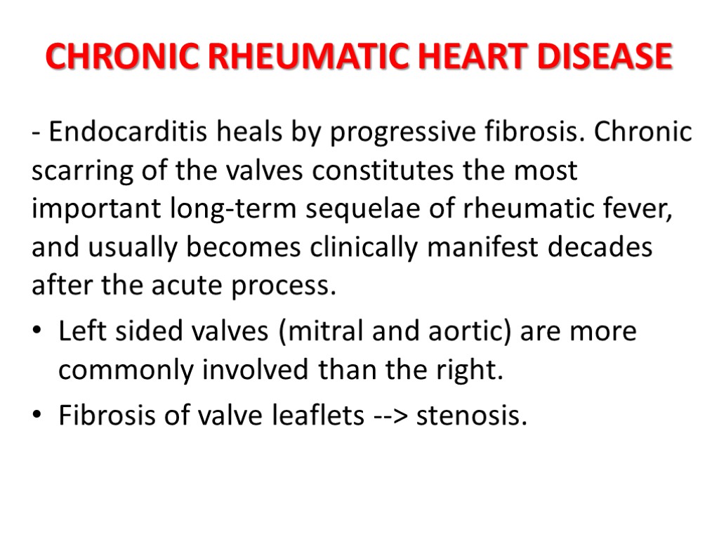 CHRONIC RHEUMATIC HEART DISEASE - Endocarditis heals by progressive fibrosis. Chronic scarring of the